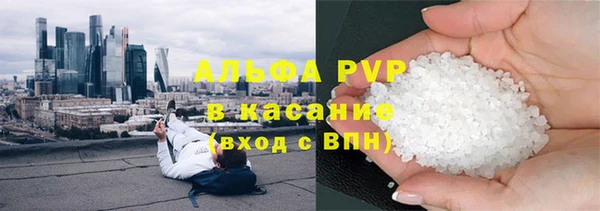 индика Алексин