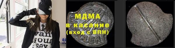 индика Алексин