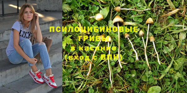 прущие крисы Алексеевка