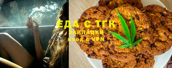 индика Алексин