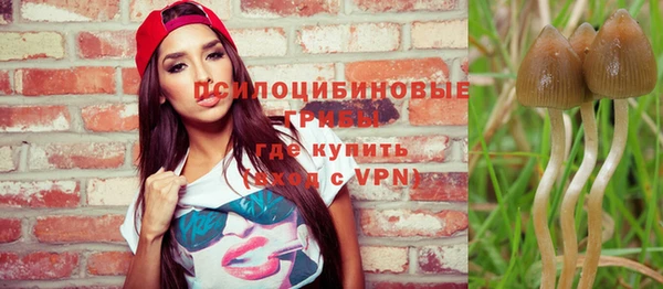 прущие крисы Алексеевка