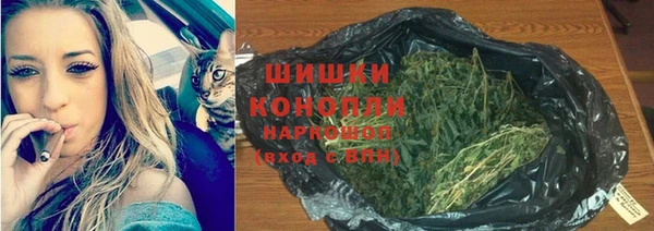 крисы Ступино