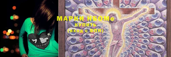 индика Алексин