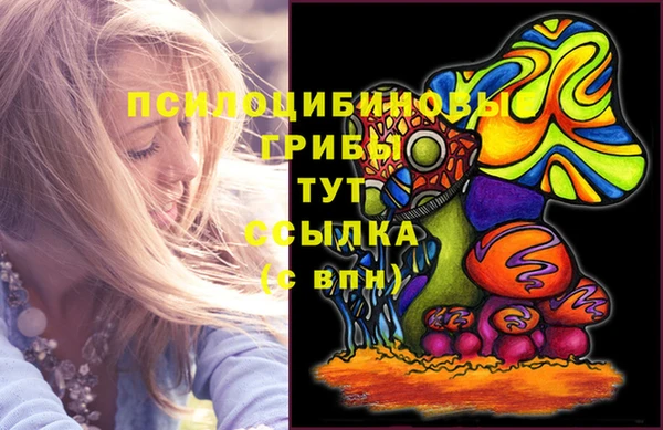 индика Алексин